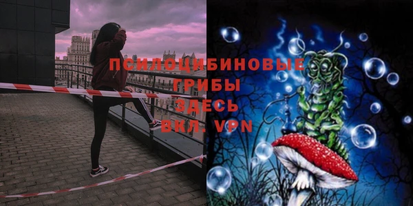 мдпв Кулебаки