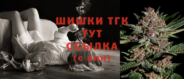 мдпв Кулебаки