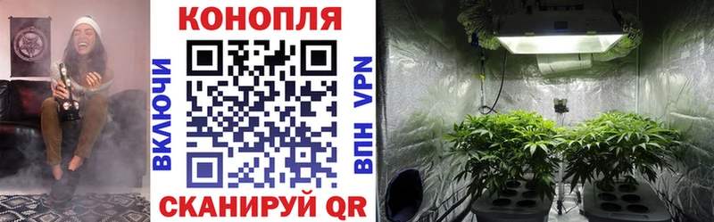 Купить где  Шадринск  Бошки марихуана VHQ 